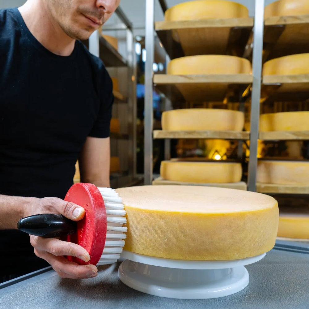 orphee brushing aging cheese wheel